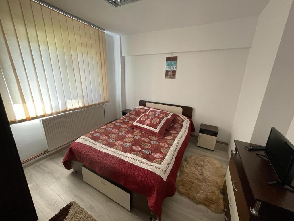 Apartament Mioritza 2B Horezu Exterior photo